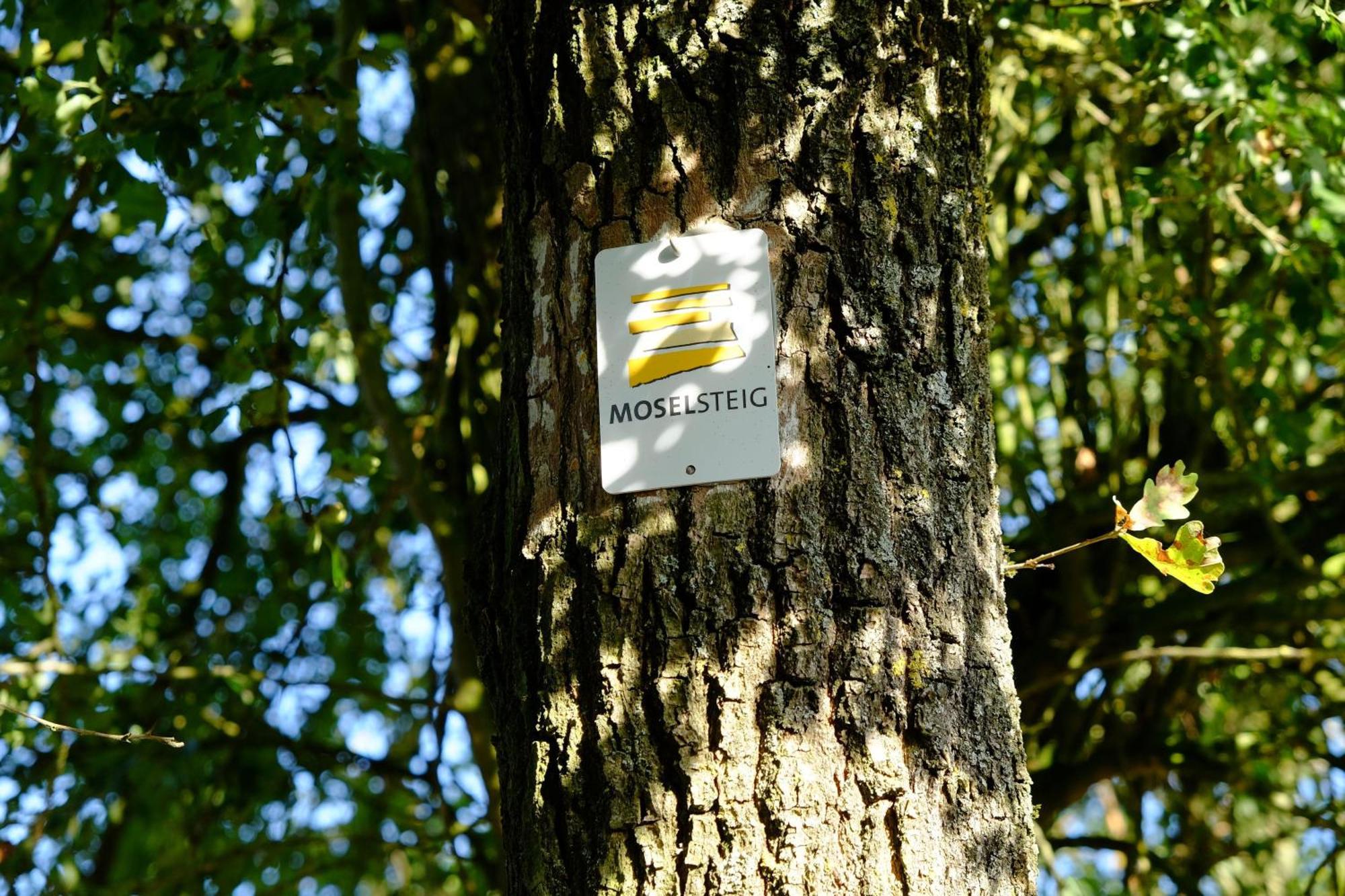 Ferienwohnung-Zum-Kueppchen Münstermaifeld Buitenkant foto